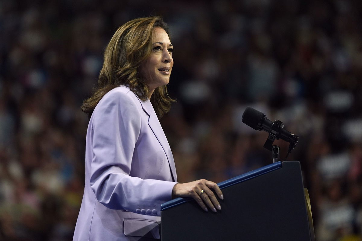 <i>Julia Nikhinson/AP via CNN Newsource</i><br/>Vice President Kamala Harris speaks at a campaign rally