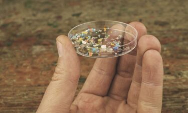 Microplastics can sometimes be seen with the naked eye and nanoplastics cannot.