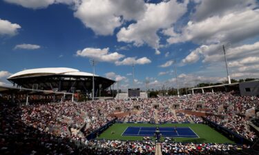 Novak Djokovic won Olympic gold in Paris.