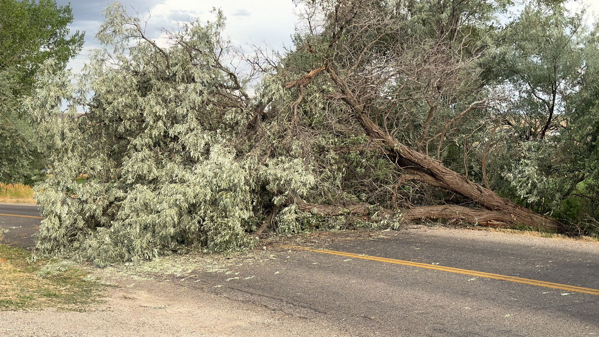 Strong Winds Have Caused Outages And Downed Trees - Localnews8.com - Kifi