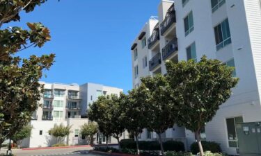 A dog died on a Pleasanton apartment balcony on Tuesday as neighbors watched and helplessly waited.