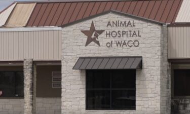 Tiffany Keller says she took her pup Millie to the Animal Hospital of Waco recently for treatment