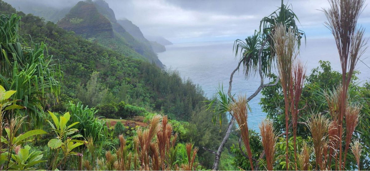 <i>KITV via CNN Newsource</i><br/>The Kauai Fire Department responded to multiple rescue calls over the weekend