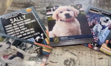 Police departments in Massachusetts are building bonds with local students in a creative new way. Special trading cards are helping children get more comfortable with officers across the state