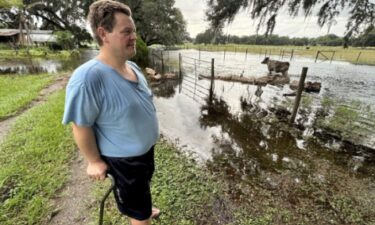 Ferman Geiger’s cattle are running out of dry land because much of his property just outside Zephyrhills city limits is now underwater.