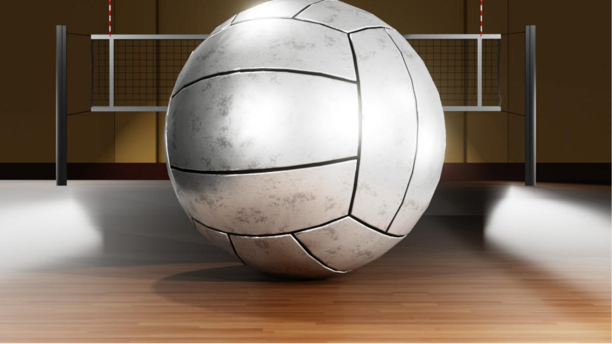 high school volleyball 