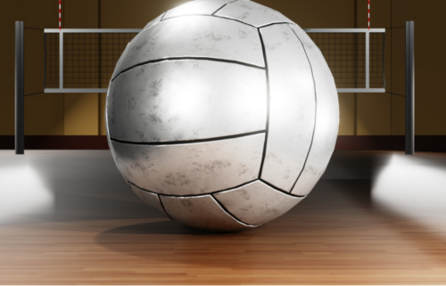 high school volleyball