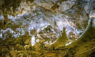 Carlsbad Caverns National Park in New Mexico is home to a fragile ecosystem.