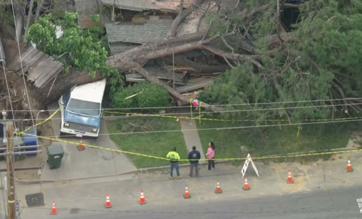 <i>KCAL/KCBS via CNN Newsource</i><br/>A tree crushed a Monrovia home on May 5 after toppling over.