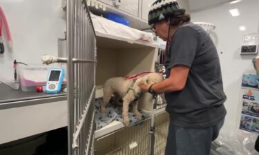 A mobile pet clinic is helping keep animals housed.