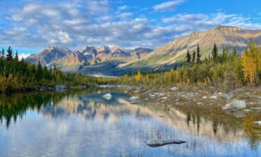 These 22 conservation-minded presidents preserved the most national park land