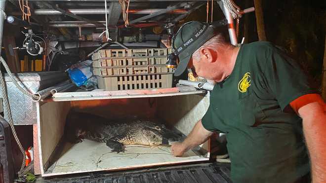 <i>WBBH via CNN Newsource</i><br/>A woman was injured in a gator attack along James Road near Slater Road in North Fort Myers Thursday evening.