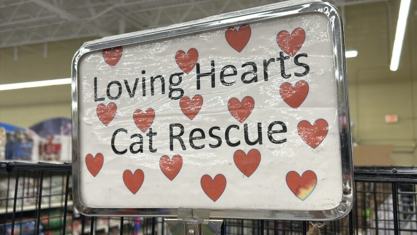 Loving Hearts Cat Rescue