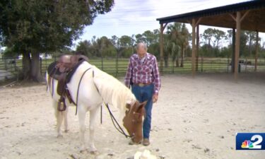 An 82-year-old horseback rider is saddling up for his next competition. If successful