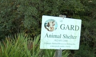 A Pembroke animal rescue is under investigation after the Georgia Department of Agriculture found animals in poor conditions at Georgia Animal Rescue and Defense (GARD).