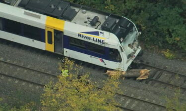 A New Jersey Transit train operator died after a River Line train struck a tree that had fallen onto the tracks.