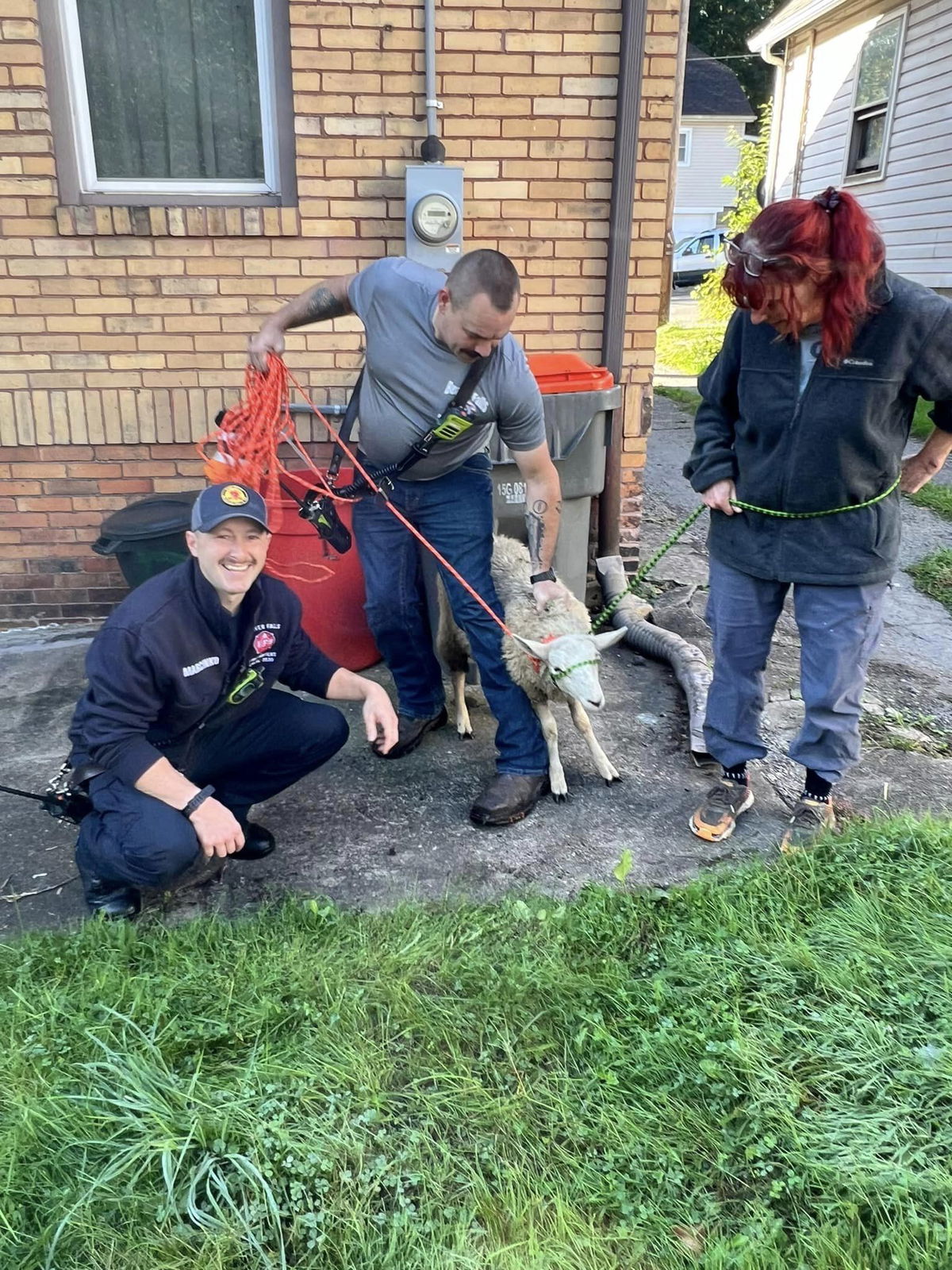 <i>City of Beaver Falls Fire Department /KDKA via CNN Newsource</i><br/>The City of Beaver Falls requested assistance for a runaway sheep that led officials on a six-block chase.