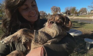 A Colorado woman was shocked to find her dog's wheelchair missing from the porch Tuesday morning.