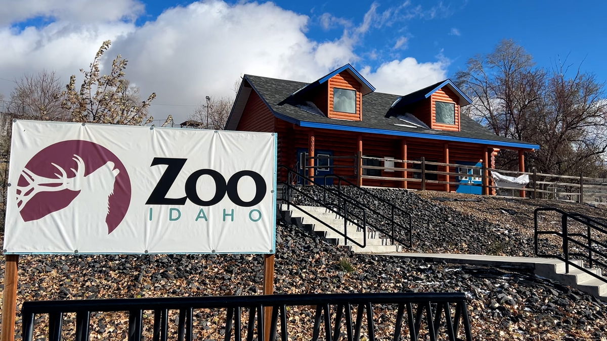 How Zoo Idaho prepares for the winter – Local News 8