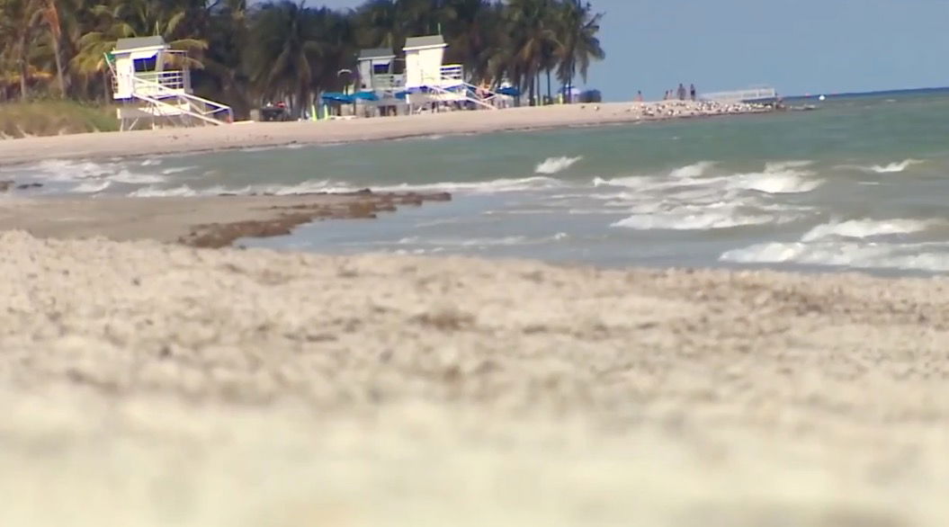 <i>WSVN via CNN Newsource</i><br/>Miami-Dade Police are investigating after a human head was reportedly found ashore on a Key Biscayne beach.