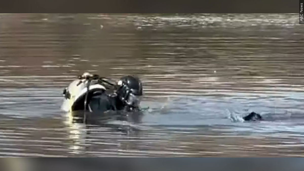 New York Police search a pond in Central Park Sunday, Dec. 8, 2024. 