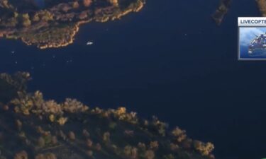 Mather Regional Park in Sacramento County is temporarily closed as officials investigate what led to dozens of mute swan deaths.