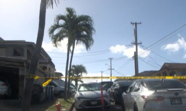 A New Year's Eve fireworks explosion in Aliamanu has resulted in at least three dead and 22 critically injured.