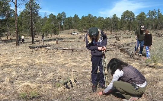 <i>KOAA via CNN Newsource</i><br/>More than 20 students from the ‘TRACKS’ program at Home School Academy trekked into the Black Forest burn scar to plant new life.