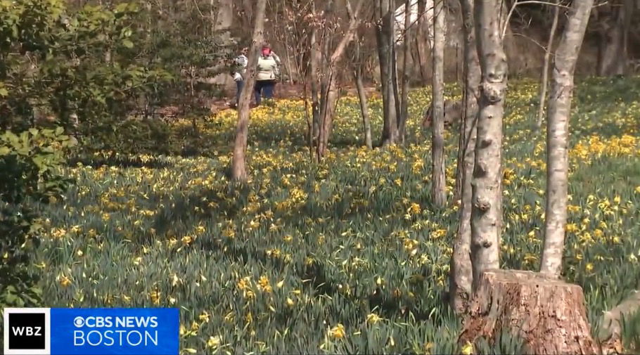<i>WBZ via CNN Newsource</i><br/>