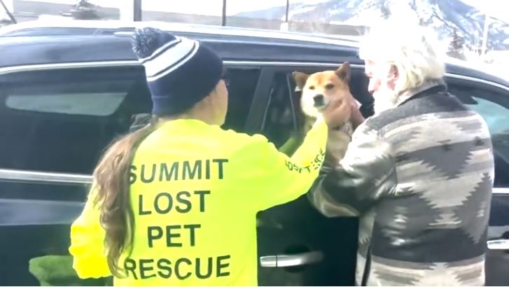 <i>KCNC via CNN Newsource</i><br/>Summit Lost Pet Rescue is a nonprofit volunteer group that does exactly what their name says; help make sure pets lost in the mountains find their way home.
