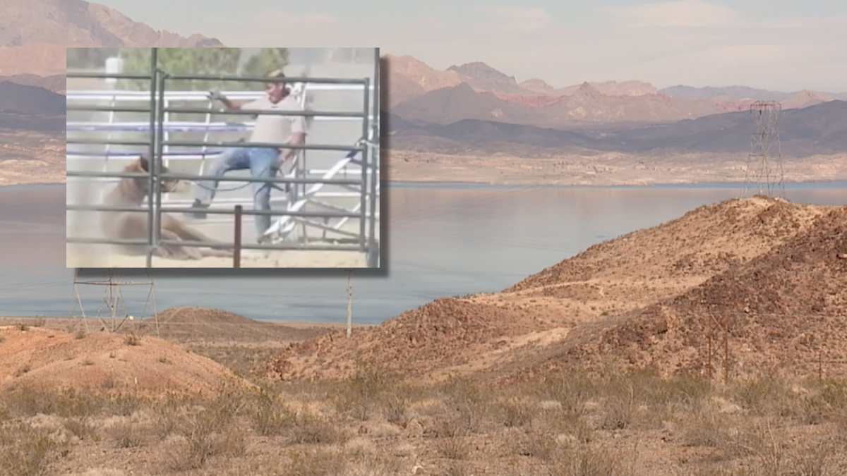 <i>KTNV via CNN Newsource</i><br/>A source with the Las Vegas Metropolitan Police Department confirmed to Channel 13 that Dr. Shawn Frehner is the man authorities are searching for at Lake Mead.