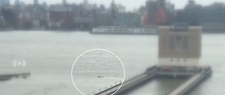 <i>WCBS/WLNY via CNN Newsource</i><br/>A helicopter has crashed in the Hudson River