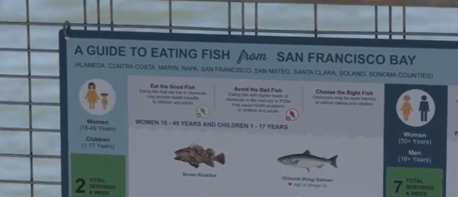 <i>KGO via CNN Newsource</i><br/>A new study by the San Francisco Estuary Institute confirmed concentrations of PFAS
