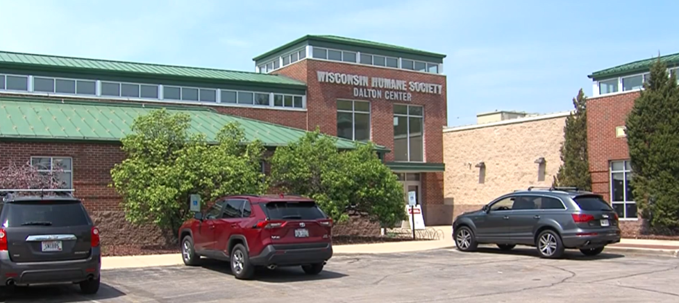 <i>WDJT via CNN Newsource</i><br/>The Wisconsin Humane Society’s Wildlife Center received a call for help earlier this week from the Milwaukee Art Museum about three goslings and their parents stuck on the museum’s patio.