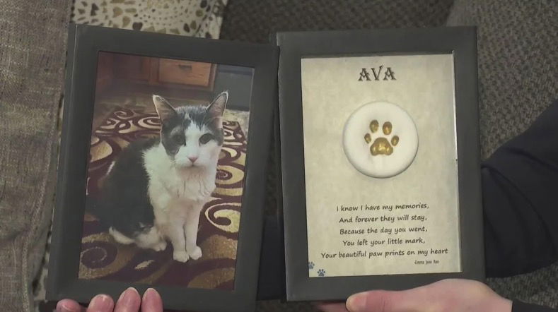 <i>KDKA via CNN Newsource</i><br/>Pet owners who say they are victims of funeral director Patrick Vereb gathered together at a memorial in Latrobe to share their collective pain and find healing in one another.