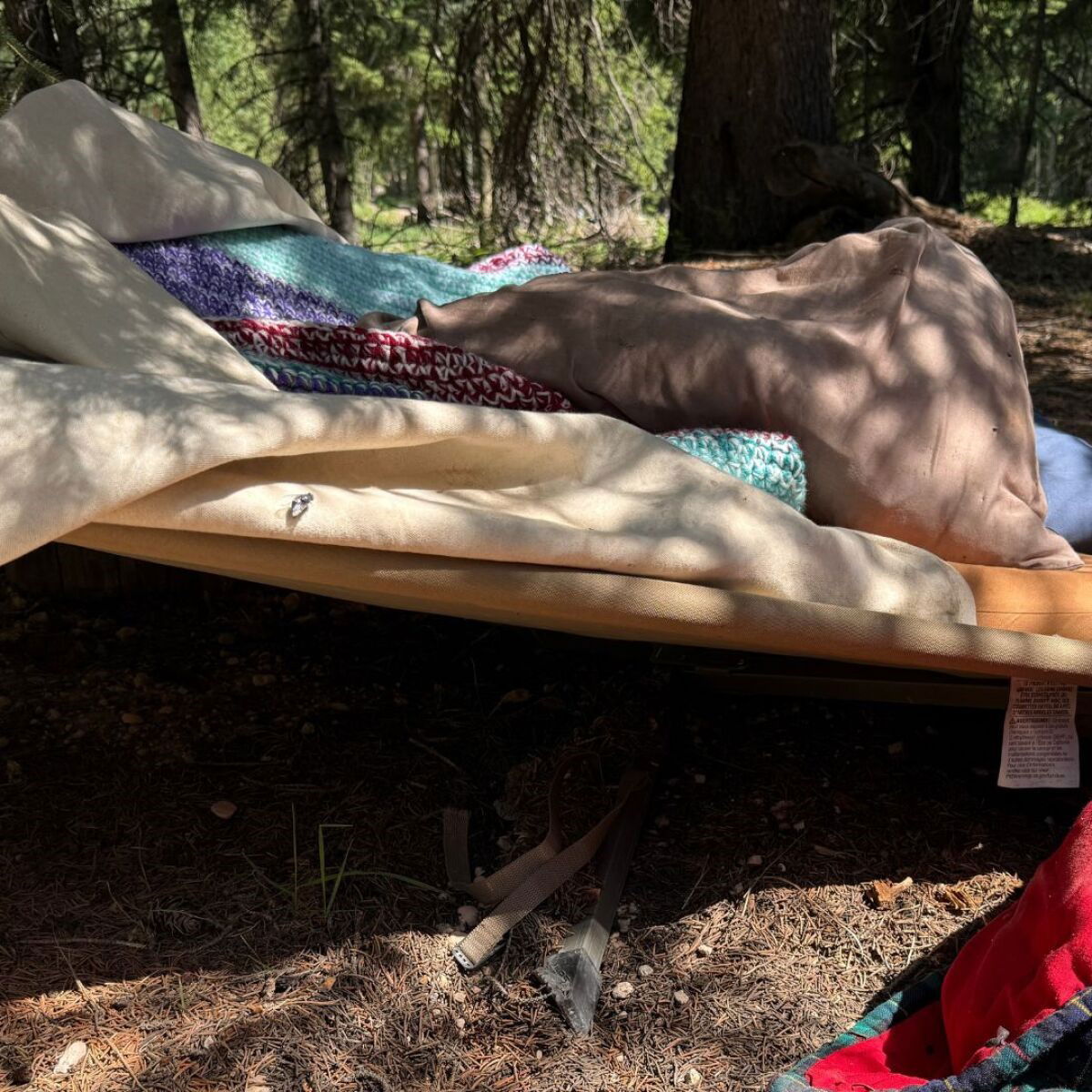 A southern Utah man is out of the hospital after he was attacked by a black bear while trying to sleep on a cot outdoors near Bryce Woodlands.