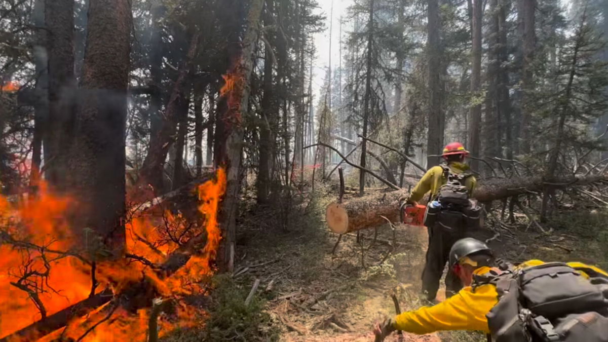Crews work to contain the Horse Fire in the Bridger-Teton National Forest