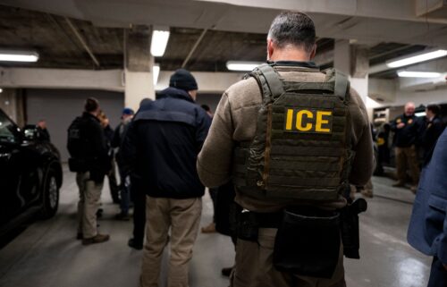 US Immigration and Customs Enforcement (ICE) agents