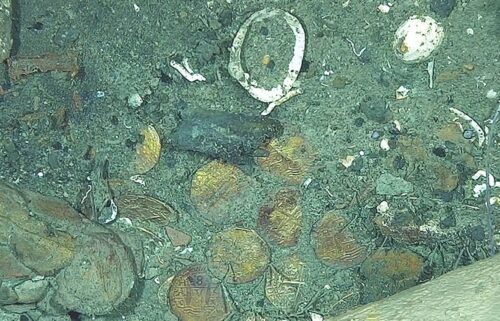 Coins known as cobs in the San José galleon shipwreck in the Colombian Caribbean