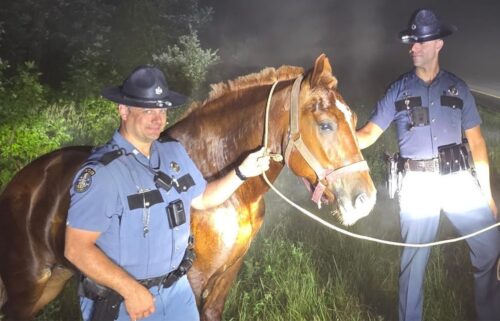 A horse has been safely reunited with its owner after it was spotted wandering along Interstate 95 in central Maine.